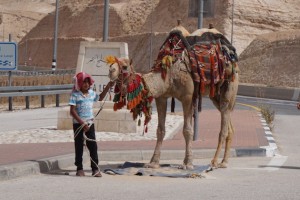 Camel rides await as you stop for refreshments on your way to the Dead Sea.