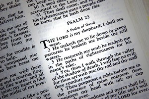 newsphotos-scripture-03.08.16-300x200