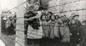 babies auschwitz holocaust