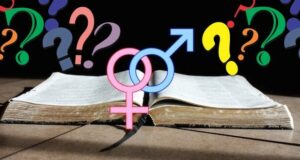 biblical gender
