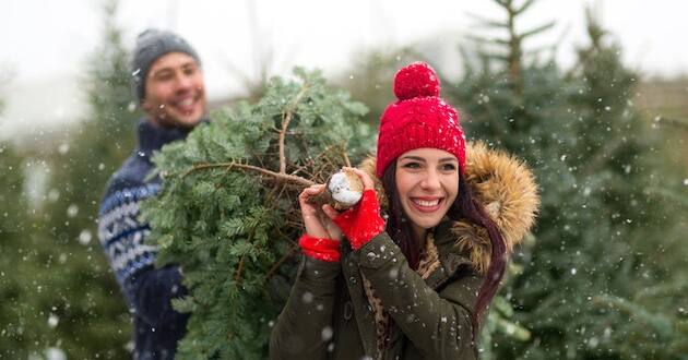 christmas trees