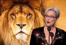 streep aslan