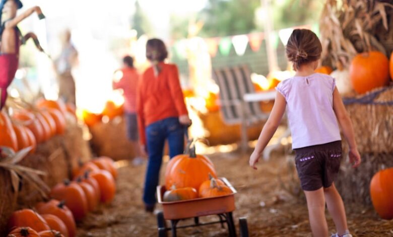 fall festivals
