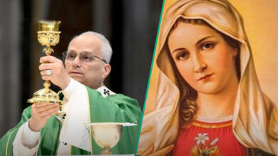 Pope Leo XIV and Mother Mary