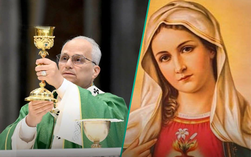 Pope Leo XIV clarifies proper role of Mary in redemption - Metro Voice News