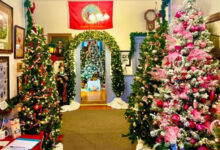 Lecompton Christmas Trees Display