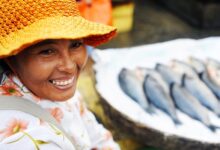 cambodia