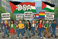 dsa platform