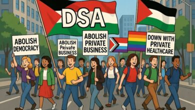 dsa platform