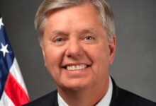 lindsey graham