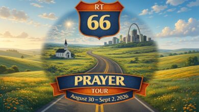 66